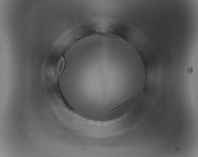 X0000115300043200911161708