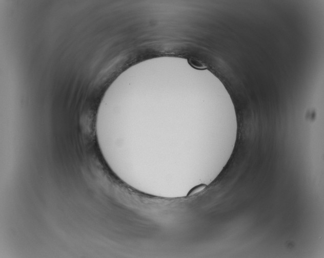 X0000115300044200911161708