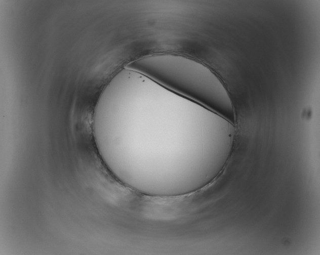 X0000115300045200911161708