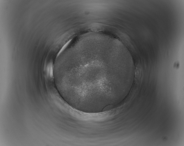 X0000115300046200911161708