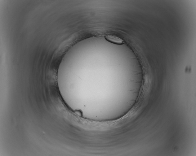 X0000115300048200911161708