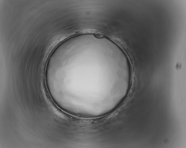 X0000115300049200911161707