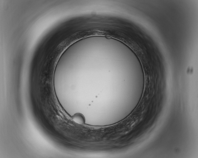 X0000115300050200911161707