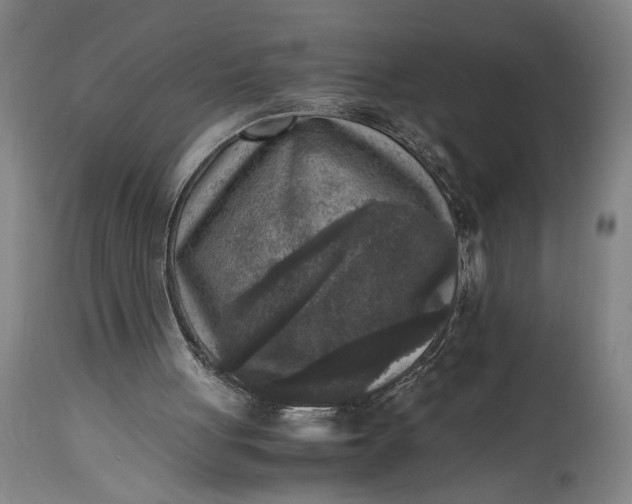 X0000115300051200911161707