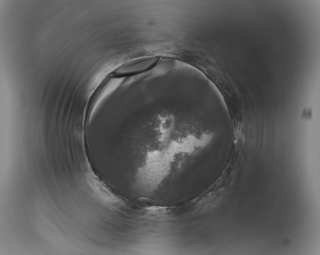 X0000115300052200911161707