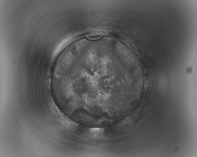 X0000115300053200911161707