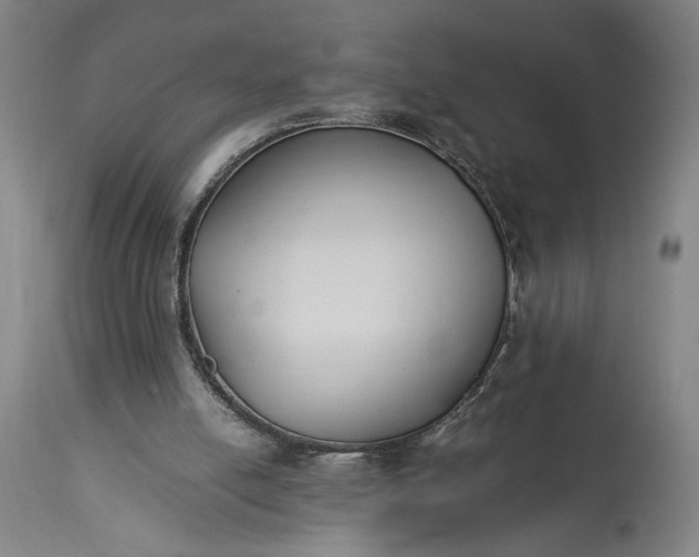 X0000115300054200911161707