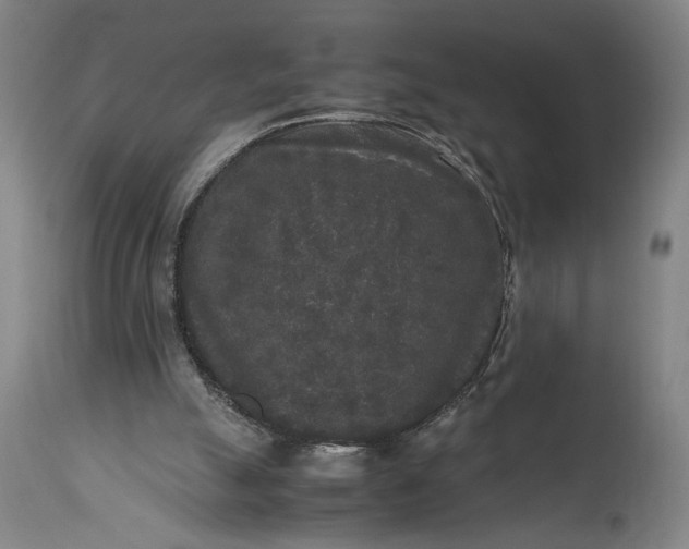 X0000115300055200911161707