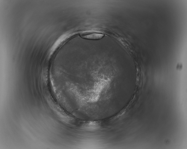 X0000115300056200911161707