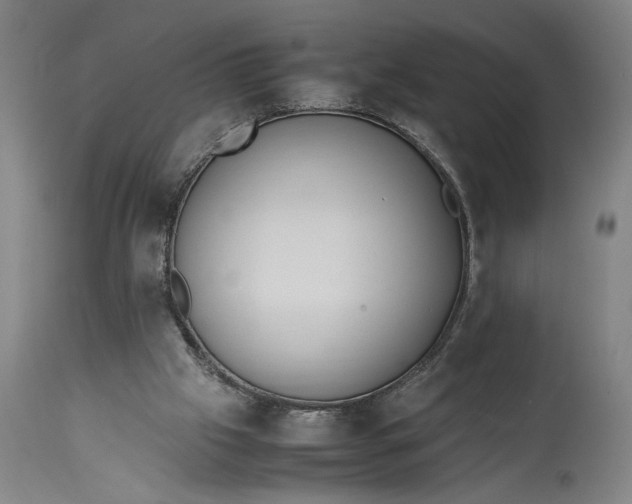 X0000115300057200911161707