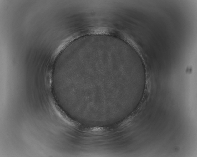 X0000115300059200911161707