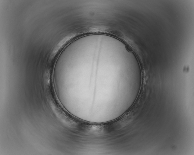 X0000115300060200911161707