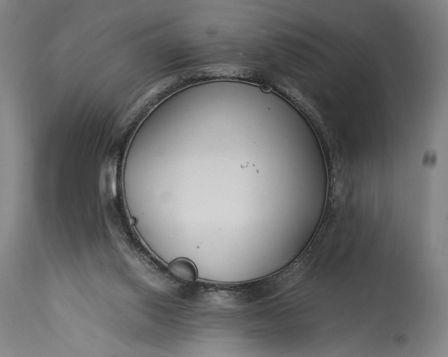 X0000115300062200911161707