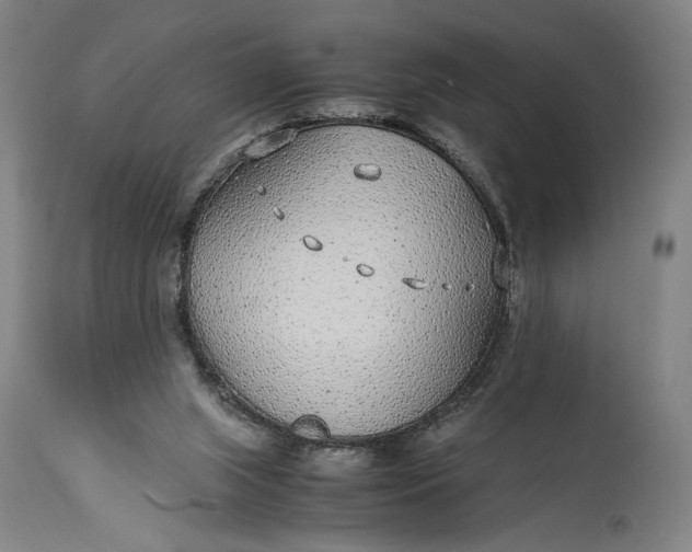 X0000115300063200911161707