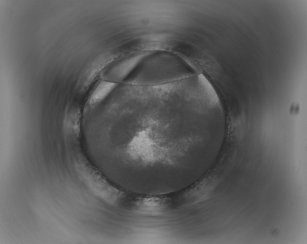 X0000115300064200911161707