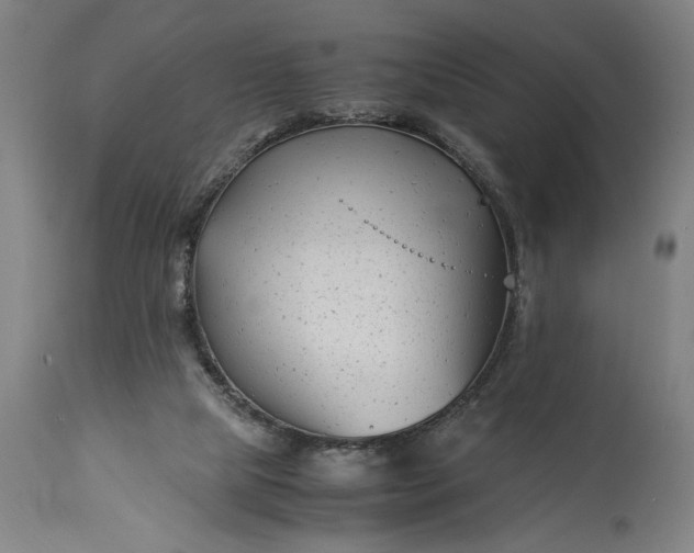 X0000115300065200911161707