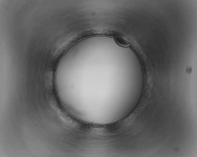 X0000115300066200911161707