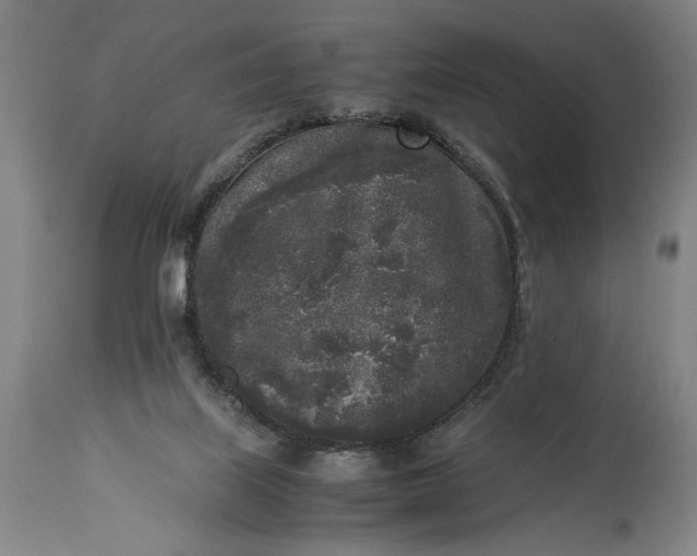 X0000115300067200911161707