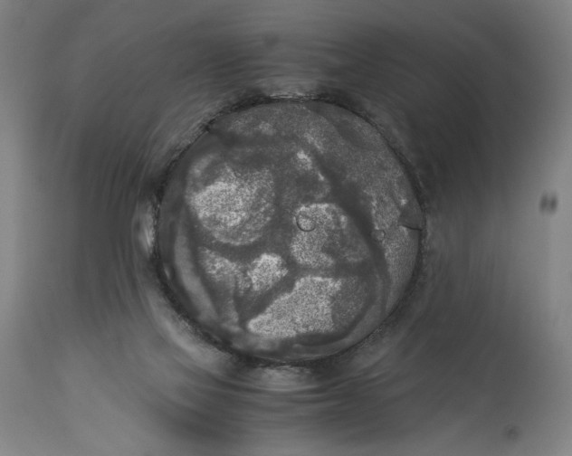 X0000115300069200911161707