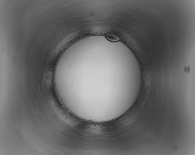 X0000115300071200911161707