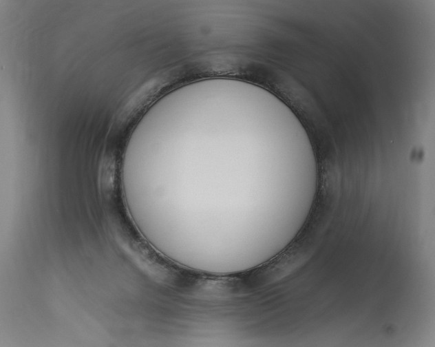 X0000115300072200911161707