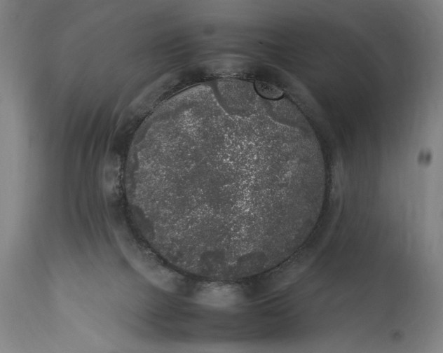 X0000115300073200911161707