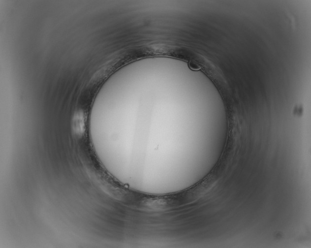 X0000115300075200911161707