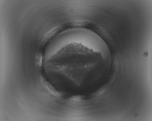 X0000115300076200911161707