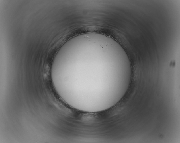 X0000115300077200911161707