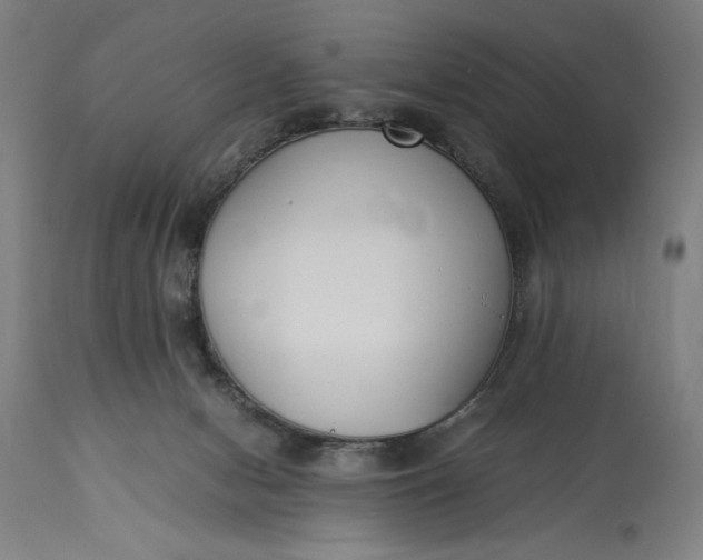 X0000115300078200911161707