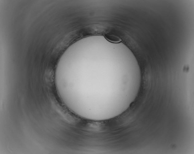 X0000115300079200911161707