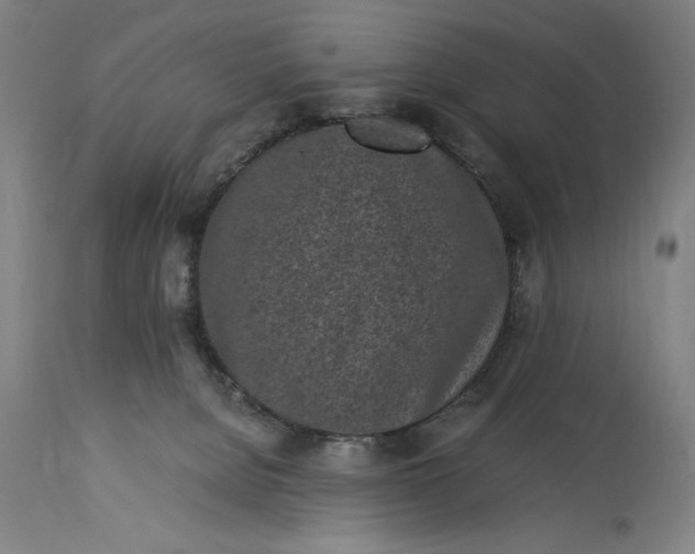 X0000115300080200911161707