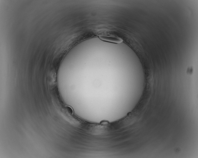 X0000115300081200911161707