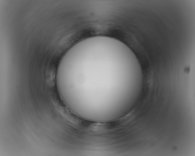 X0000115300082200911161707