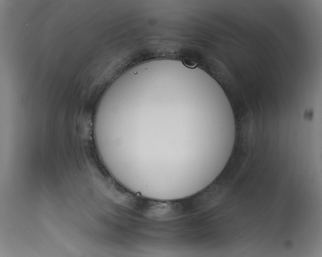 X0000115300083200911161707