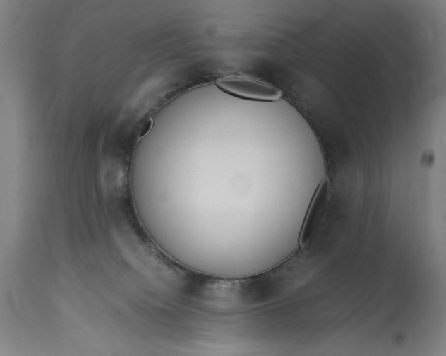 X0000115300084200911161708