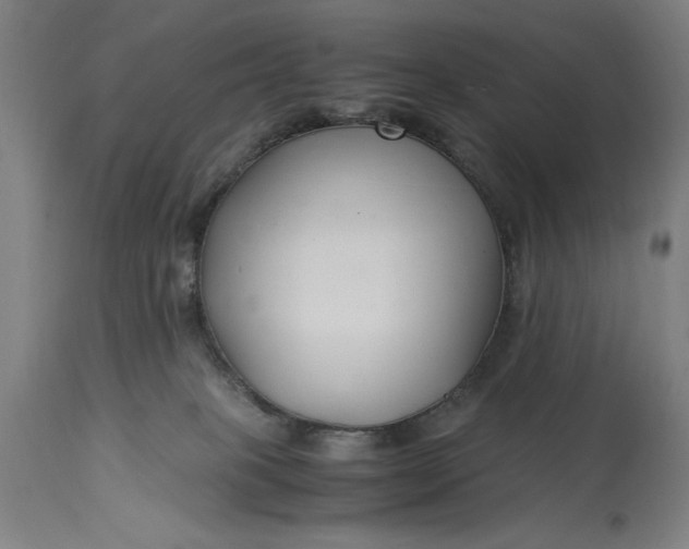 X0000115300085200911161708