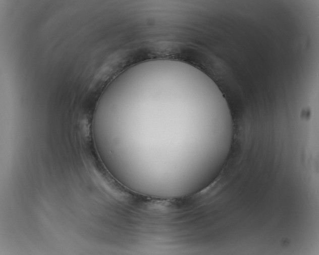 X0000115300086200911161708