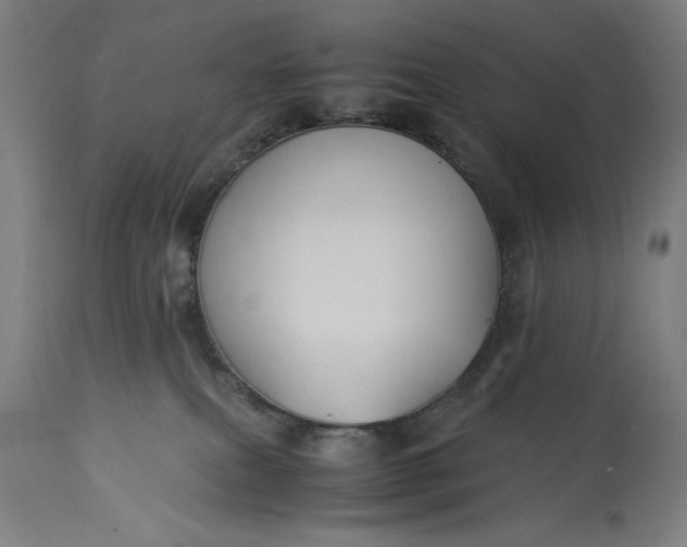 X0000115300087200911161708