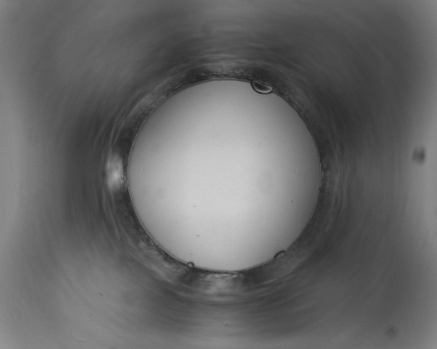 X0000115300089200911161708