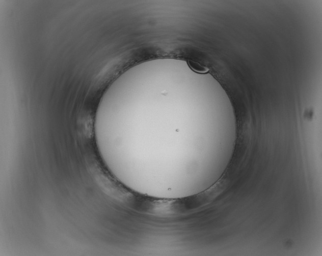 X0000115300090200911161708