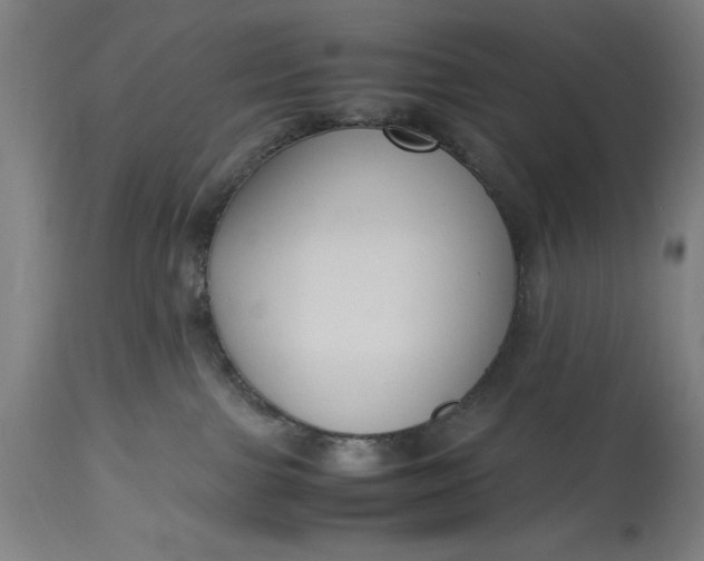 X0000115300091200911161708