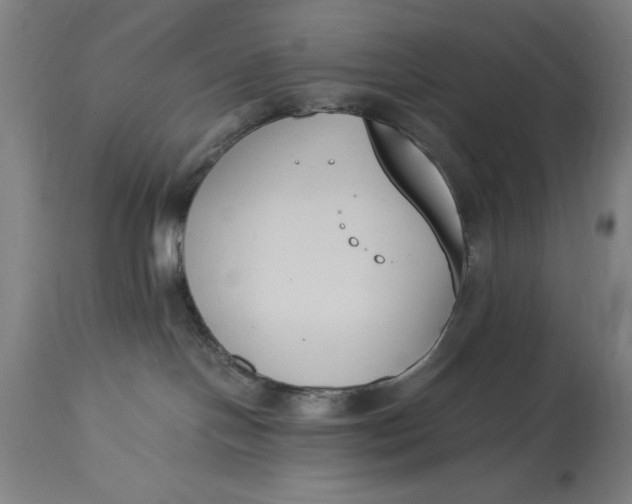 X0000115300094200911161708