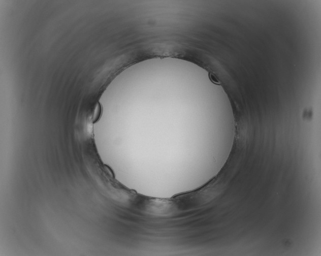 X0000115300095200911161708