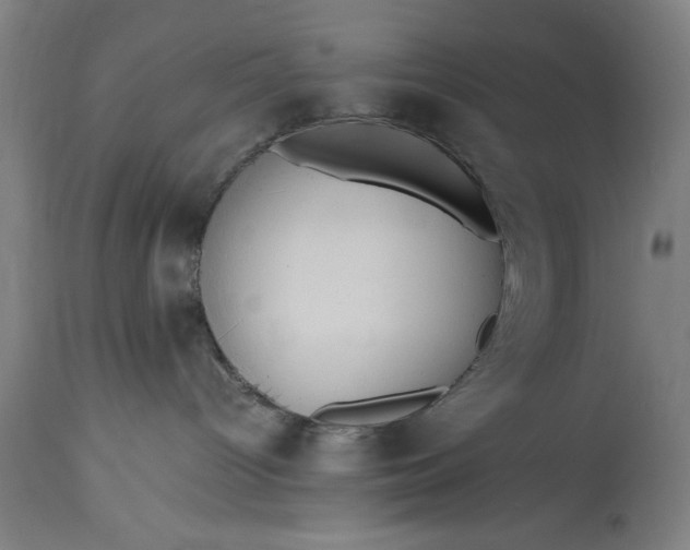 X0000115300096200911161708