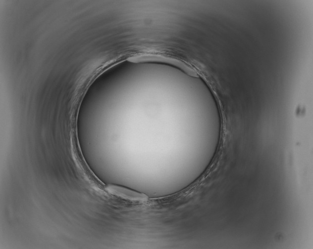 X0000115300097200911161707