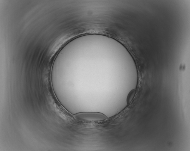 X0000115300098200911161707