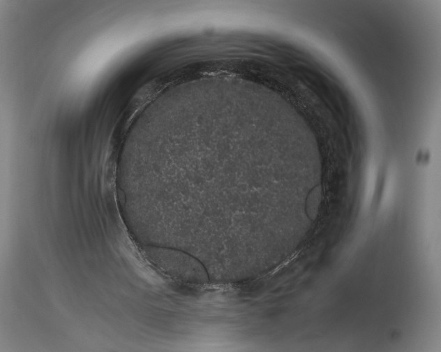 X0000115300099200911161707