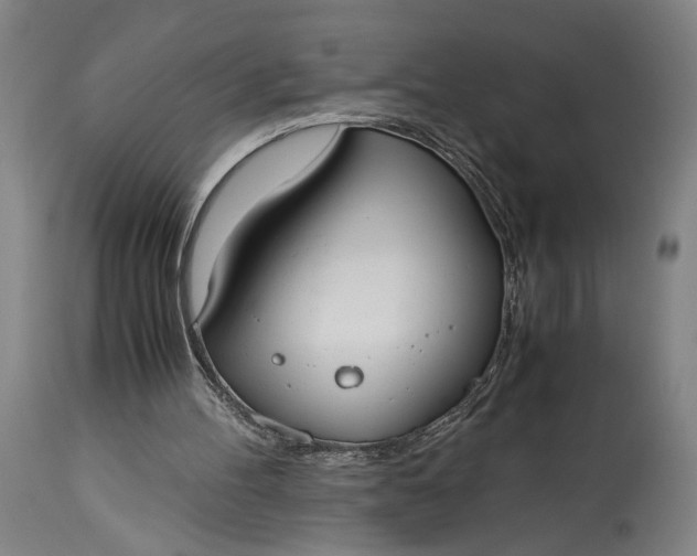 X0000115300100200911161707