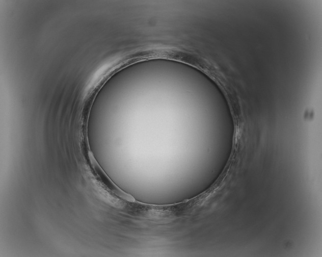 X0000115300101200911161707